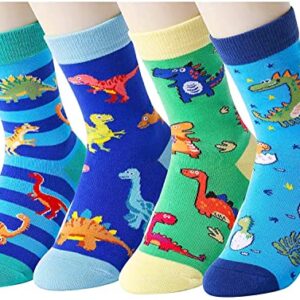 Funny Dinosaur Gifts for Boys, Gifts for Son, Kids Who Love Dinosaur, Cute Dinosaur Socks for Boys, Gifts for 4-7 Years Old Boys